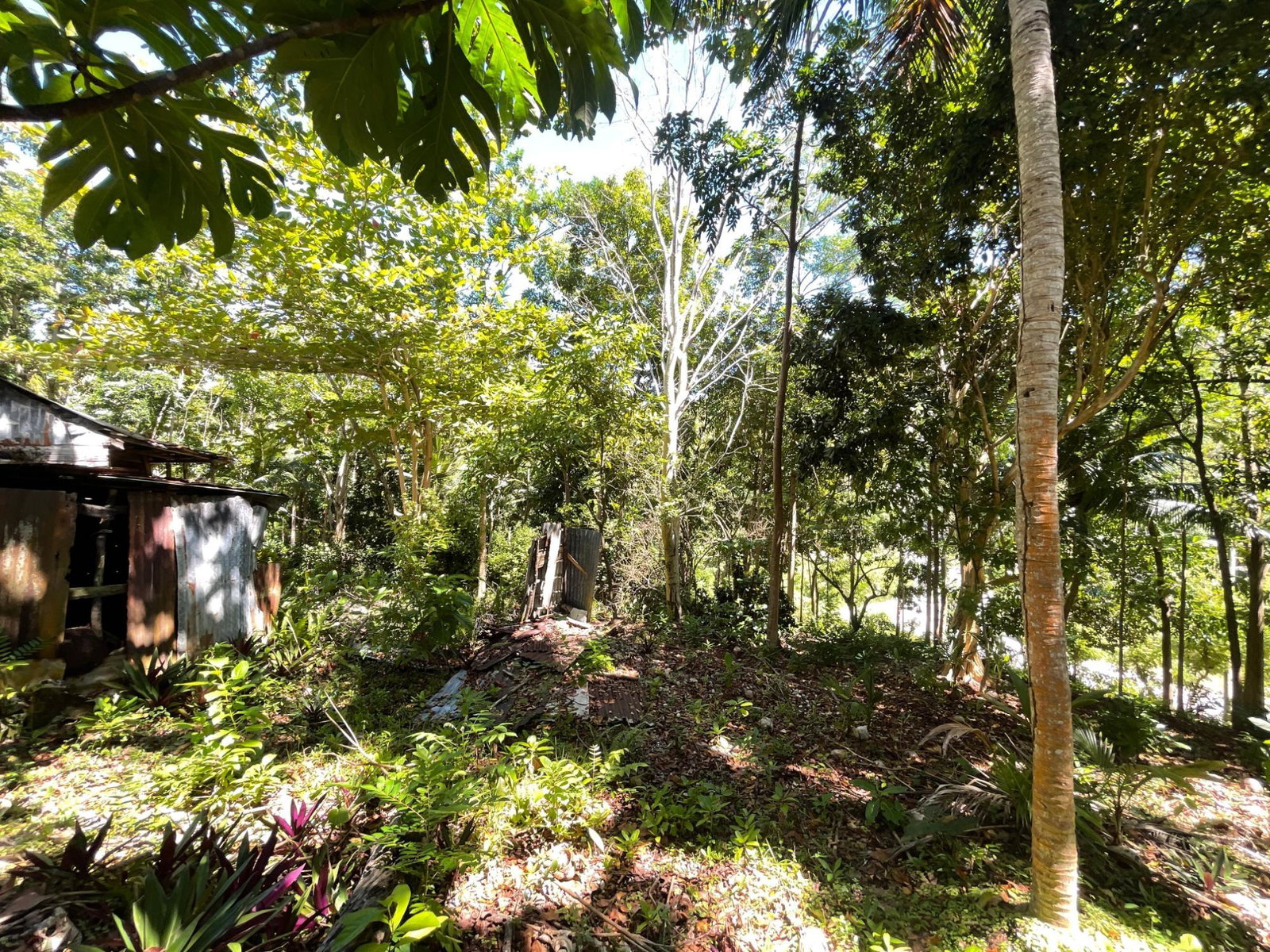 Sixth image of Boundbrook Port Antonio in Port Antonio, Portland, Jamaica - property is For Sale