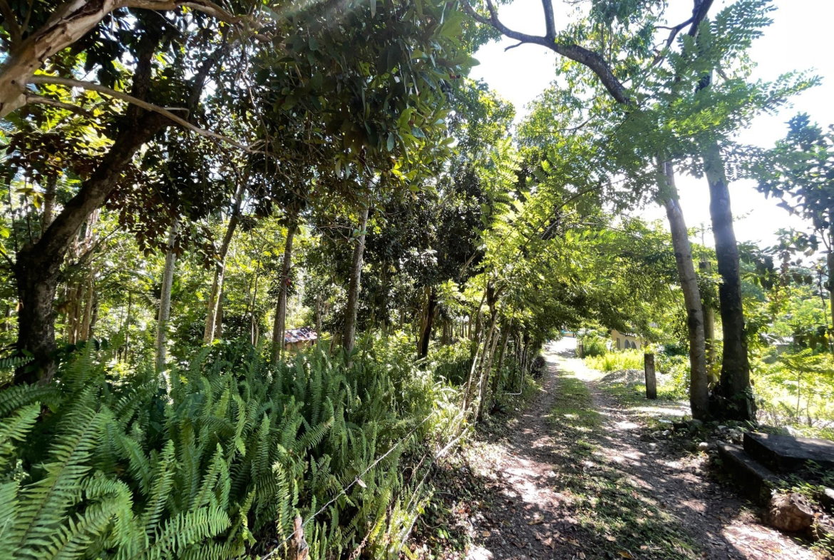 Seventh image of Boundbrook Port Antonio in Port Antonio, Portland, Jamaica - property is For Sale