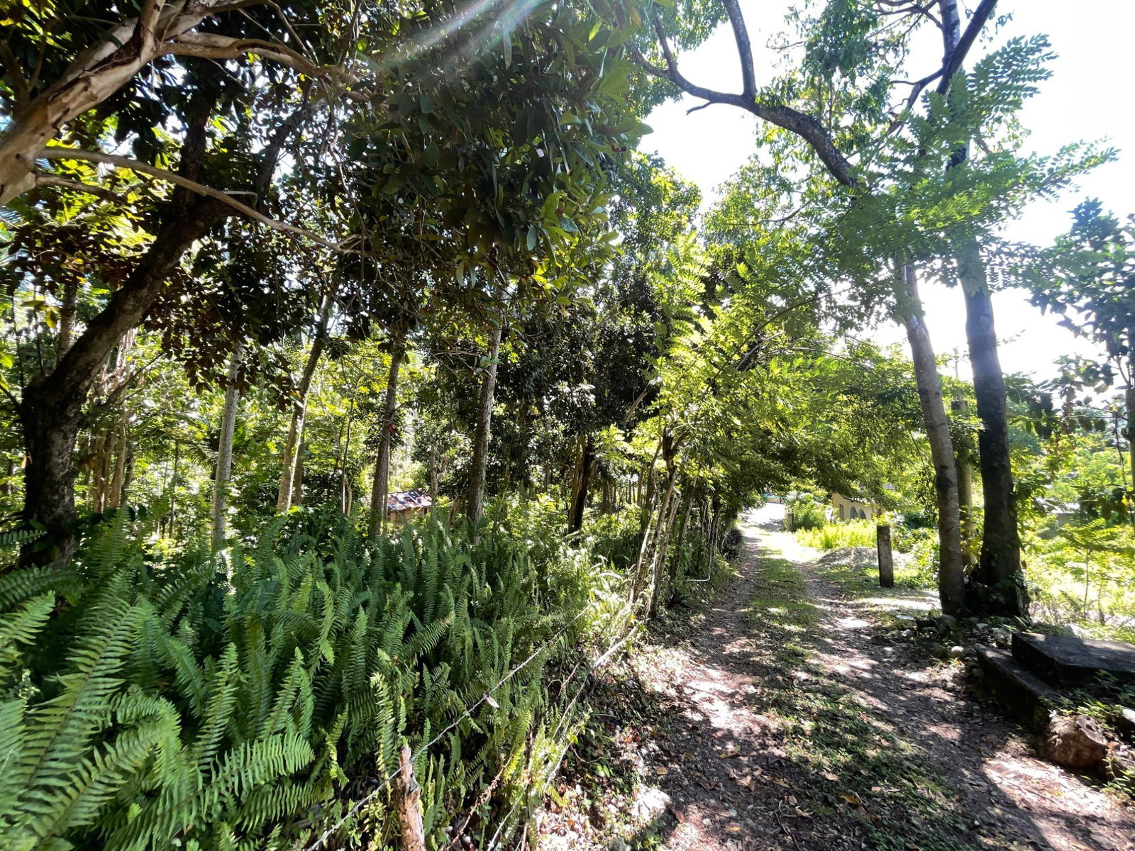 Seventh image of Boundbrook Port Antonio in Port Antonio, Portland, Jamaica - property is For Sale