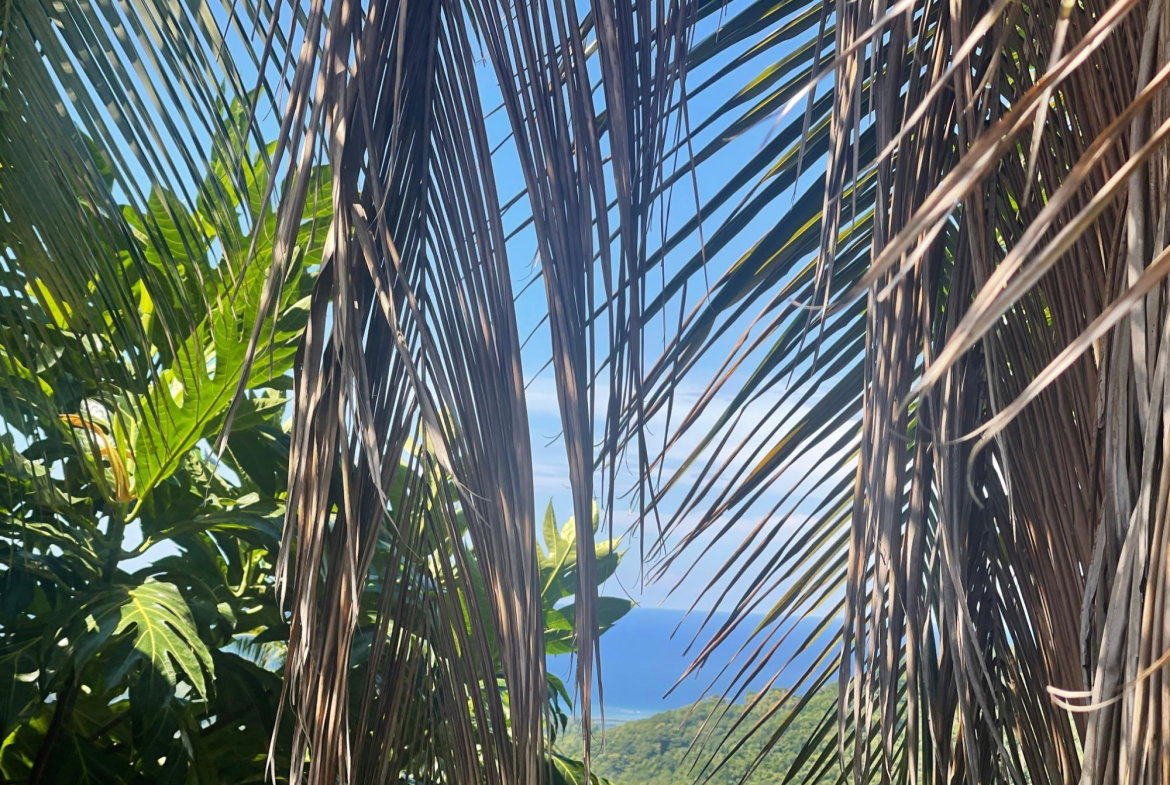 Eighth image of Boundbrook Port Antonio in Port Antonio, Portland, Jamaica - property is For Sale