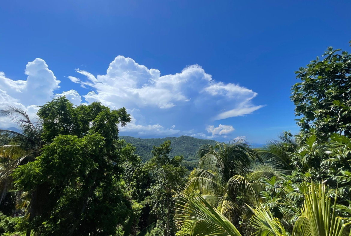 Ninth image of Boundbrook Port Antonio in Port Antonio, Portland, Jamaica - property is For Sale