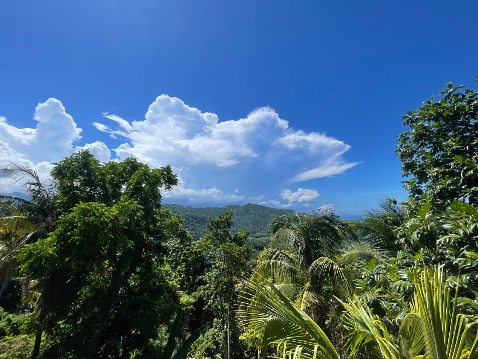 Ninth image of Boundbrook Port Antonio in Port Antonio, Portland, Jamaica - property is For Sale