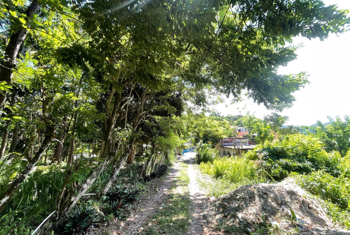Tenth image of Boundbrook Port Antonio in Port Antonio, Portland, Jamaica - property is For Sale