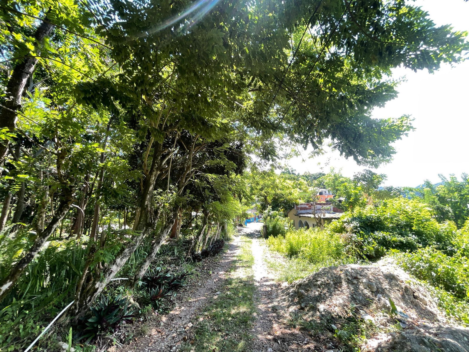 Tenth image of Boundbrook Port Antonio in Port Antonio, Portland, Jamaica - property is For Sale