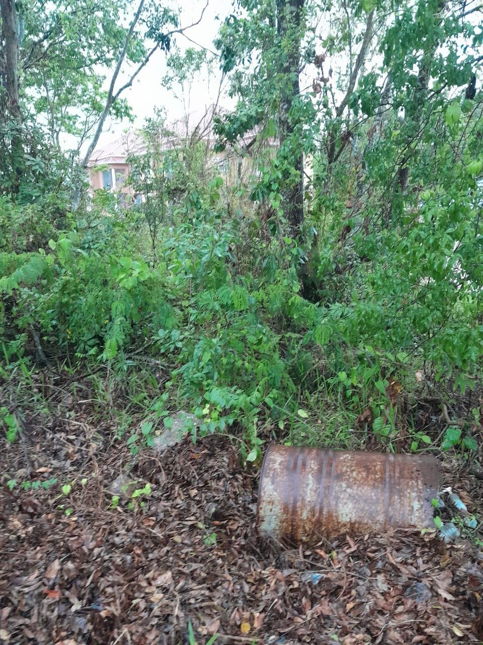 Third image of Grey's Hill, Manchester in Mandeville, Manchester, Jamaica - property is For Sale