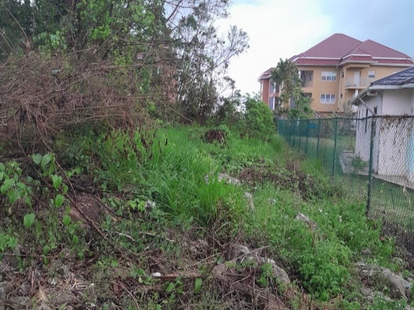 First image of Grey's Hill, Manchester in Mandeville, Manchester, Jamaica - property is For Sale