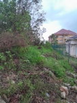First image of Grey's Hill, Manchester in Mandeville, Manchester, Jamaica - property is For Sale