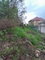 First image of Grey's Hill, Manchester in Mandeville, Manchester, Jamaica - property is For Sale