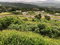 First image of Lot 49- Chanteclaire Avenue, Heav in Red Hills, St. Andrew, Jamaica - property is For Sale