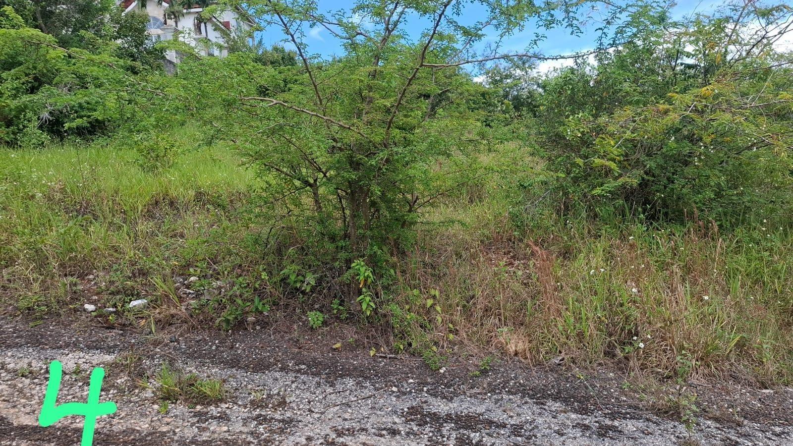 Second image of Inverness Manchester in Knockpatirck, Manchester, Jamaica - property is For Sale