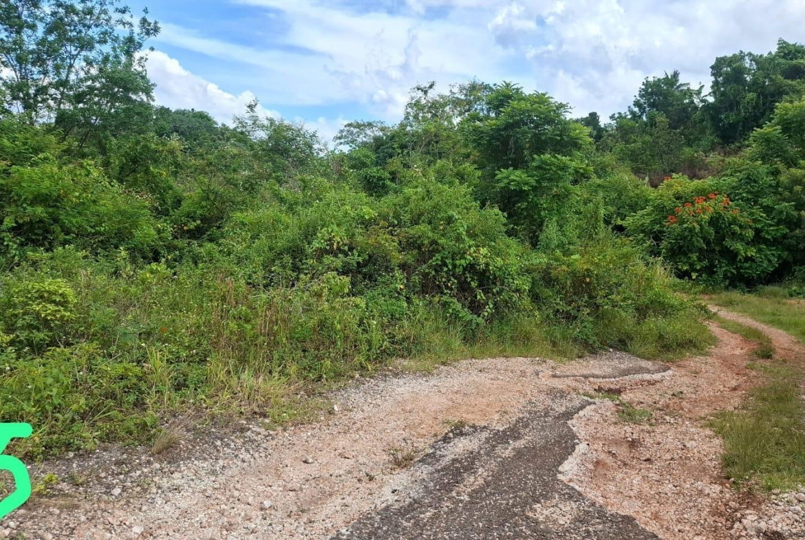 Third image of Inverness Manchester in Knockpatirck, Manchester, Jamaica - property is For Sale