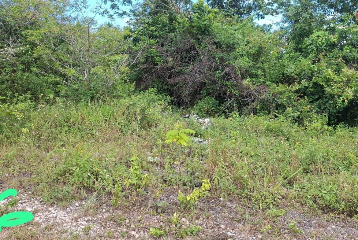 Fourth image of Inverness Manchester in Knockpatirck, Manchester, Jamaica - property is For Sale