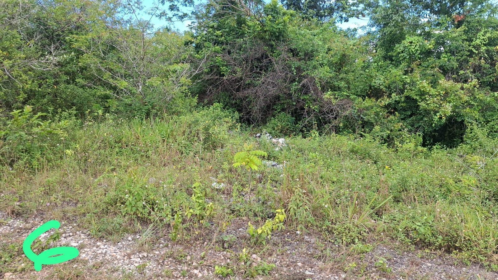 Fourth image of Inverness Manchester in Knockpatirck, Manchester, Jamaica - property is For Sale