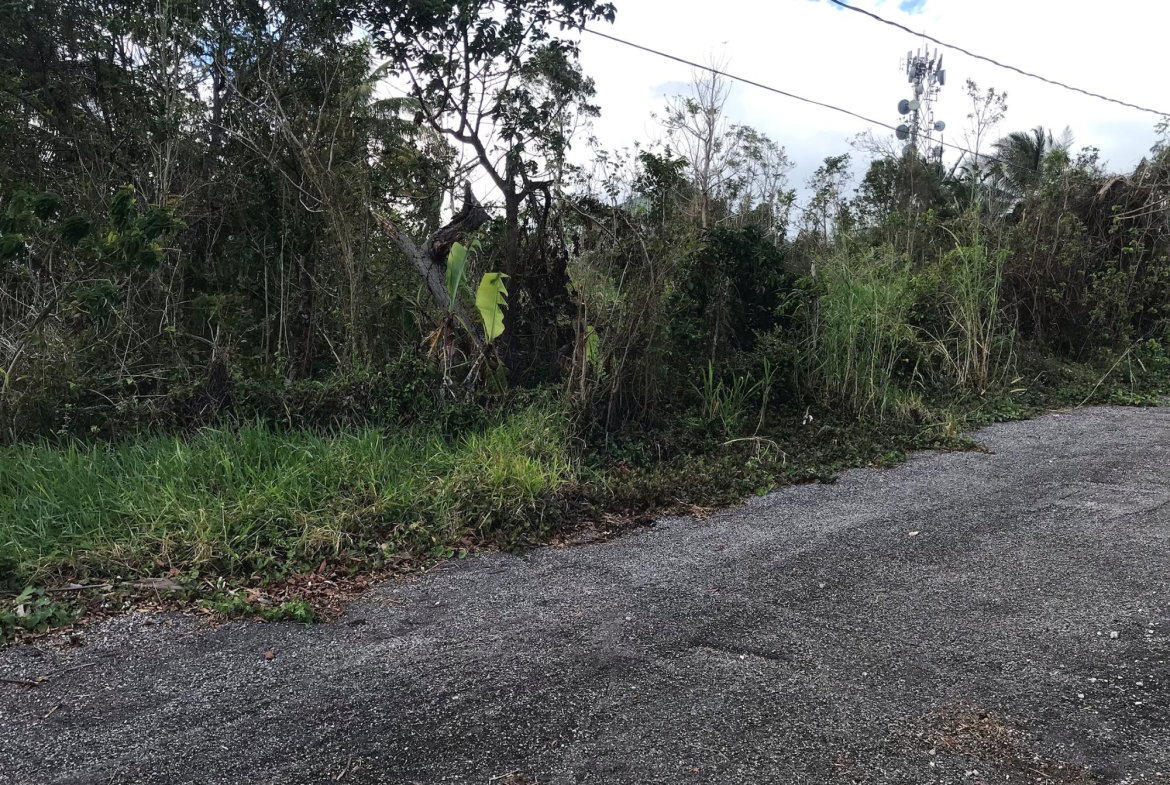 Eleventh image of Lot No. 5- Knowles Road in Mandeville, Manchester, Jamaica - property is For Sale