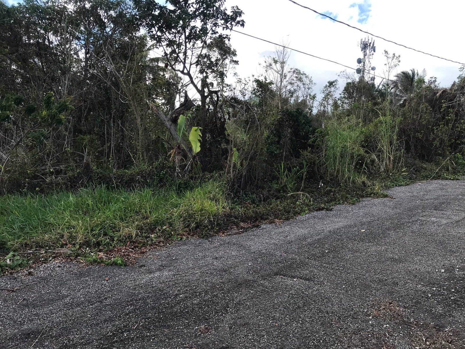 Eleventh image of Lot No. 5- Knowles Road in Mandeville, Manchester, Jamaica - property is For Sale