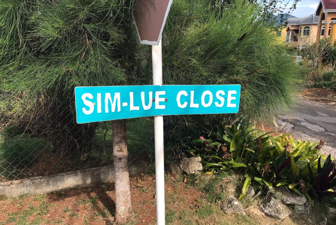 First image of Lot No. 5- Knowles Road in Mandeville, Manchester, Jamaica - property is For Sale
