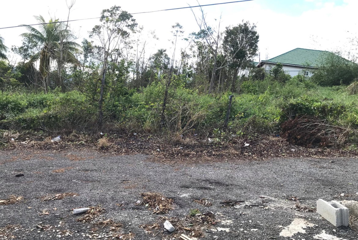 Third image of Lot No. 5- Knowles Road in Mandeville, Manchester, Jamaica - property is For Sale