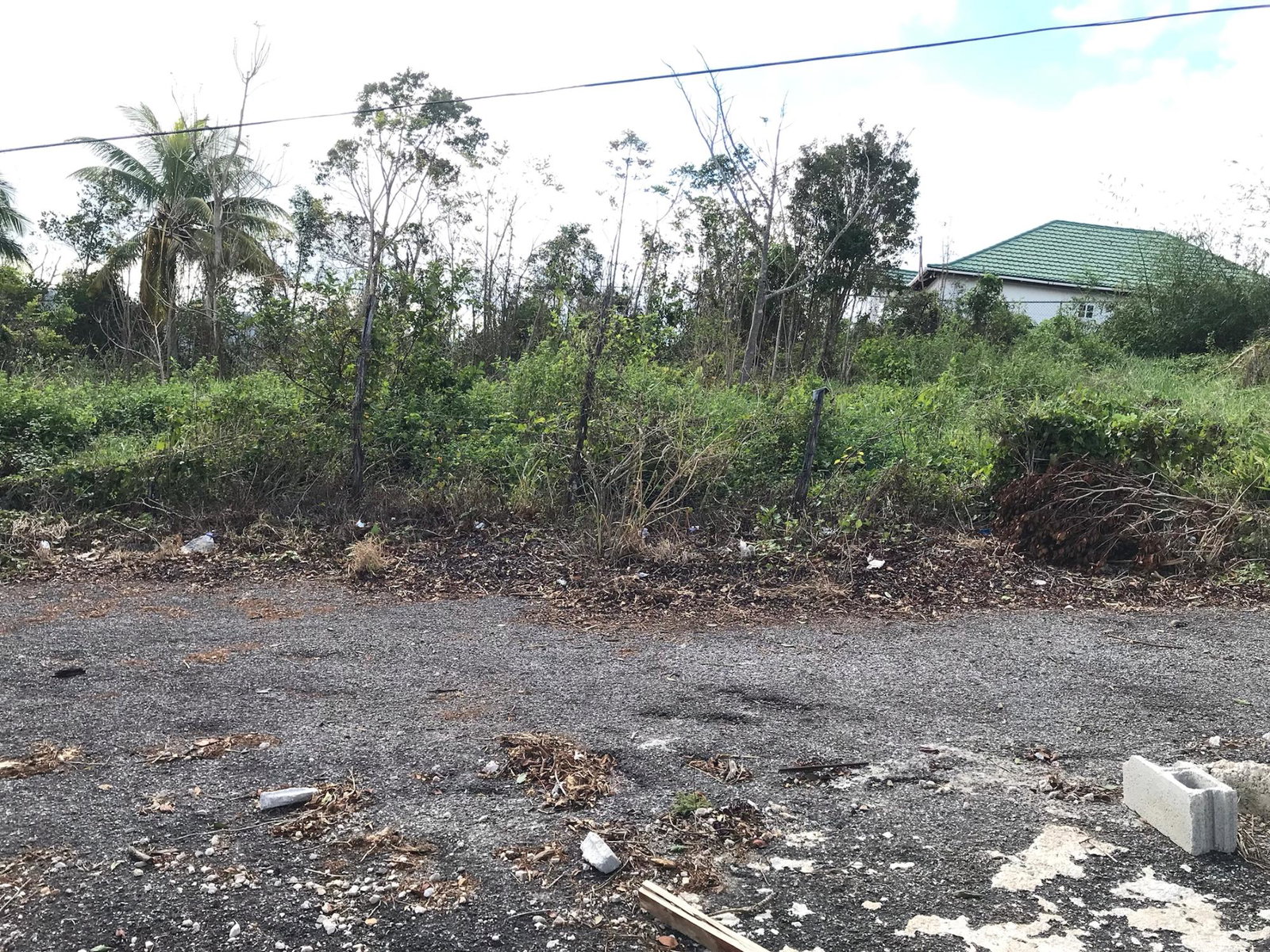Third image of Lot No. 5- Knowles Road in Mandeville, Manchester, Jamaica - property is For Sale