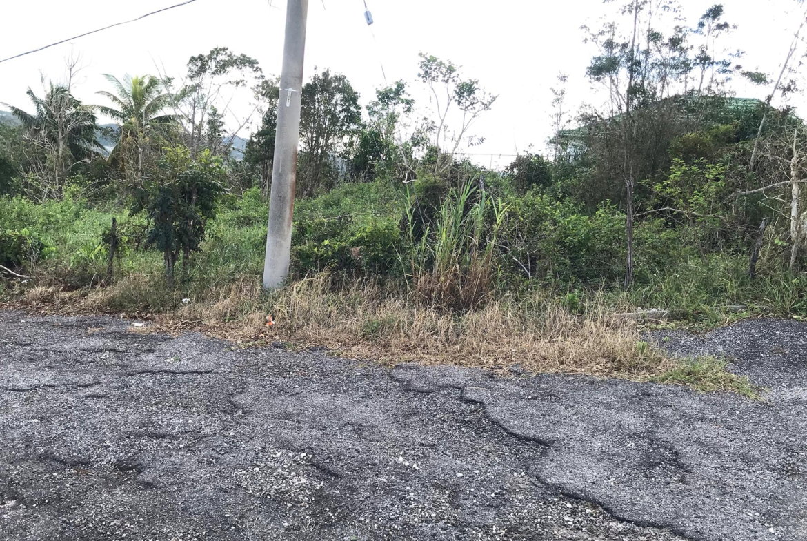 Fourth image of Lot No. 5- Knowles Road in Mandeville, Manchester, Jamaica - property is For Sale