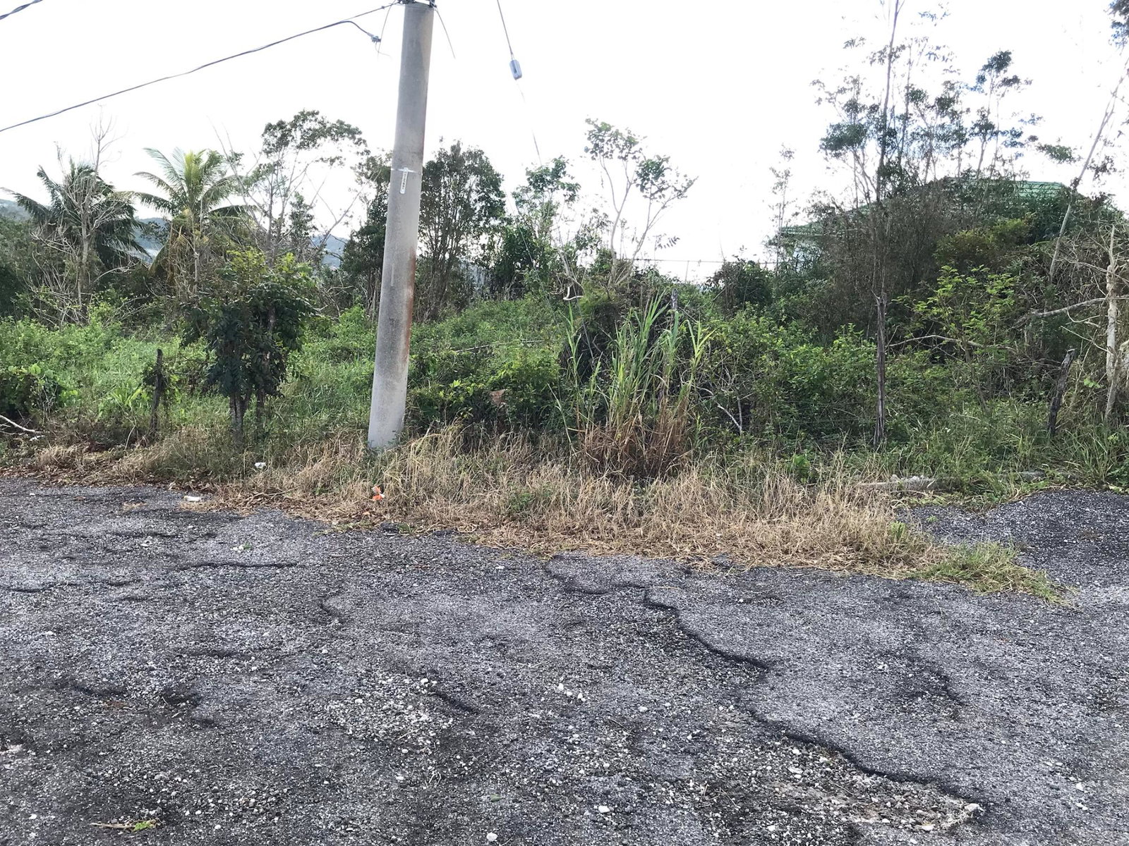 Fourth image of Lot No. 5- Knowles Road in Mandeville, Manchester, Jamaica - property is For Sale
