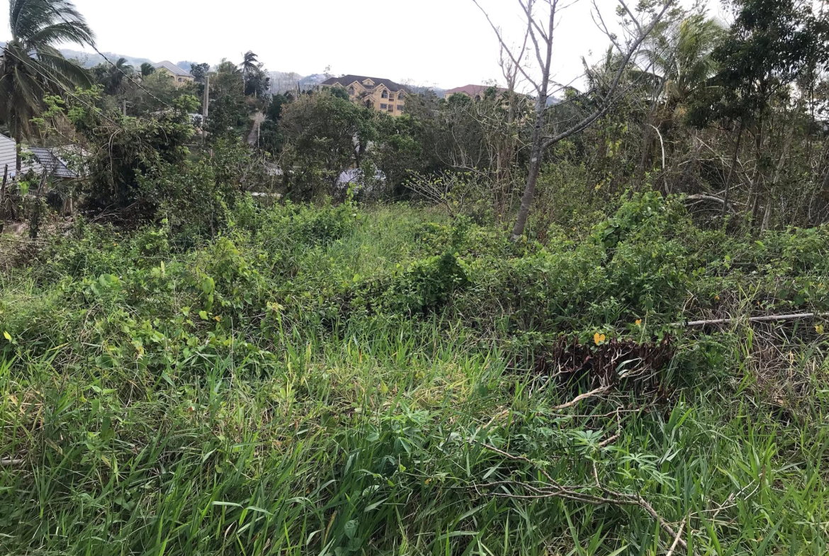 Fifth image of Lot No. 5- Knowles Road in Mandeville, Manchester, Jamaica - property is For Sale