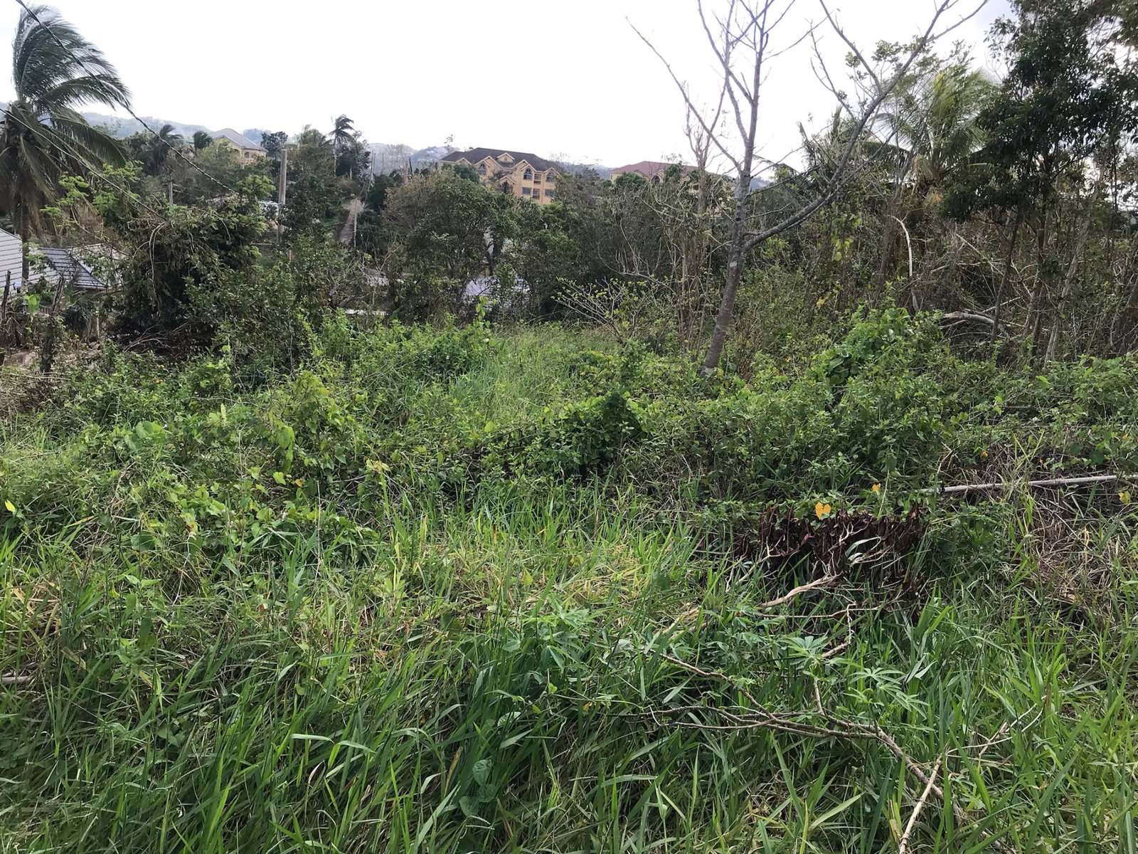 Fifth image of Lot No. 5- Knowles Road in Mandeville, Manchester, Jamaica - property is For Sale