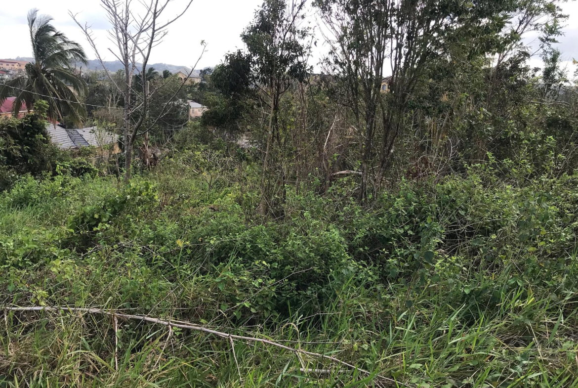 Sixth image of Lot No. 5- Knowles Road in Mandeville, Manchester, Jamaica - property is For Sale