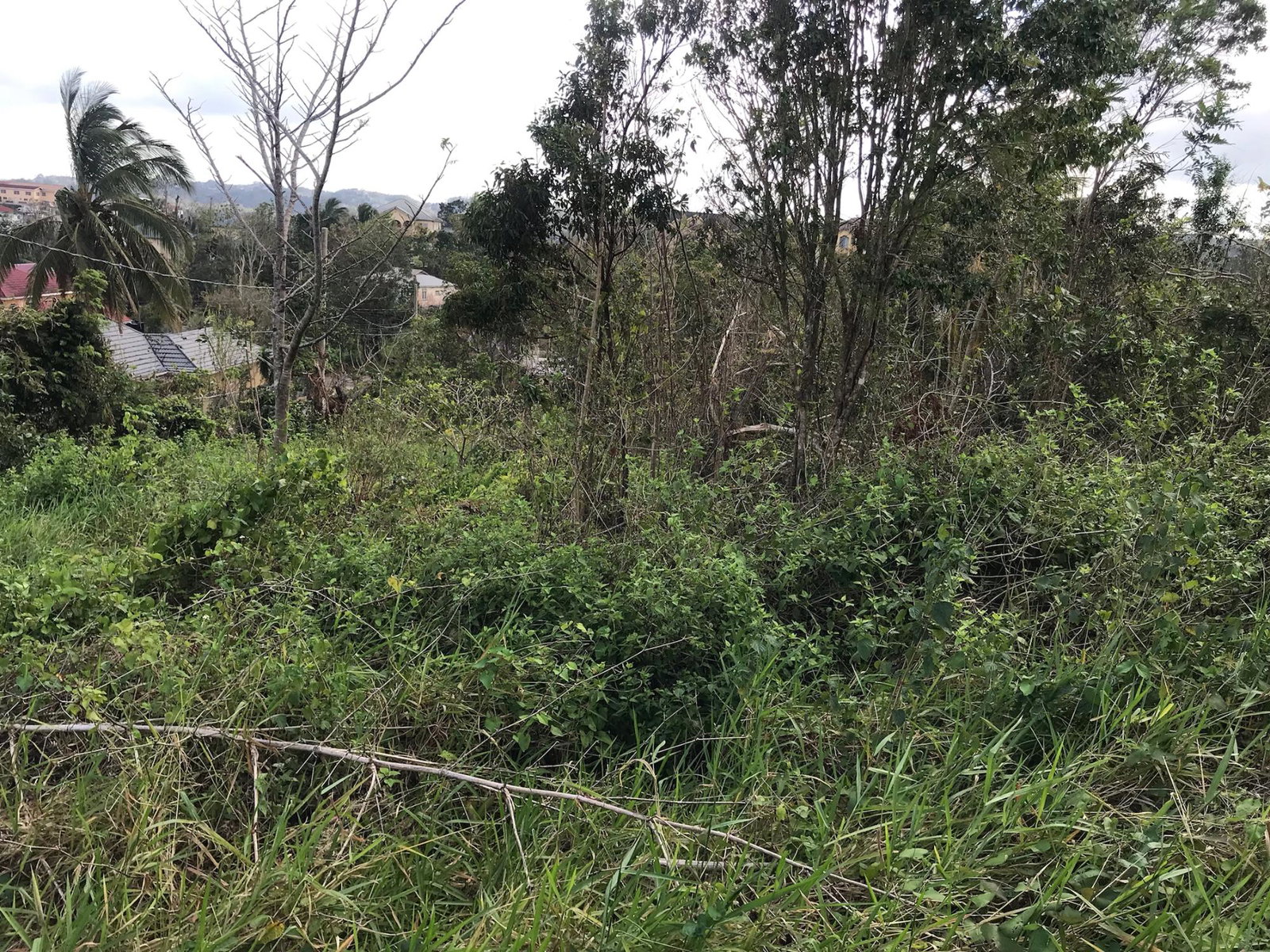 Sixth image of Lot No. 5- Knowles Road in Mandeville, Manchester, Jamaica - property is For Sale