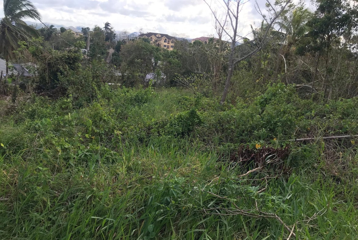 Seventh image of Lot No. 5- Knowles Road in Mandeville, Manchester, Jamaica - property is For Sale