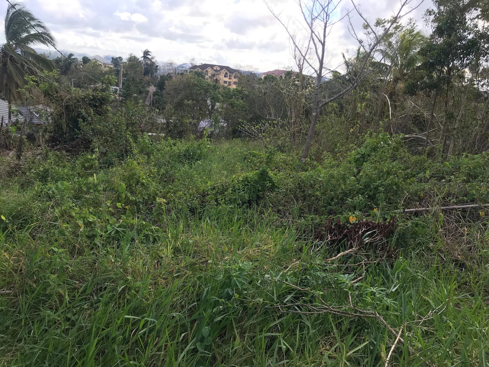 Seventh image of Lot No. 5- Knowles Road in Mandeville, Manchester, Jamaica - property is For Sale