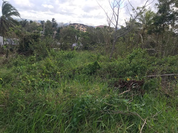 Seventh image of Lot No. 5- Knowles Road in Mandeville, Manchester, Jamaica - property is For Sale