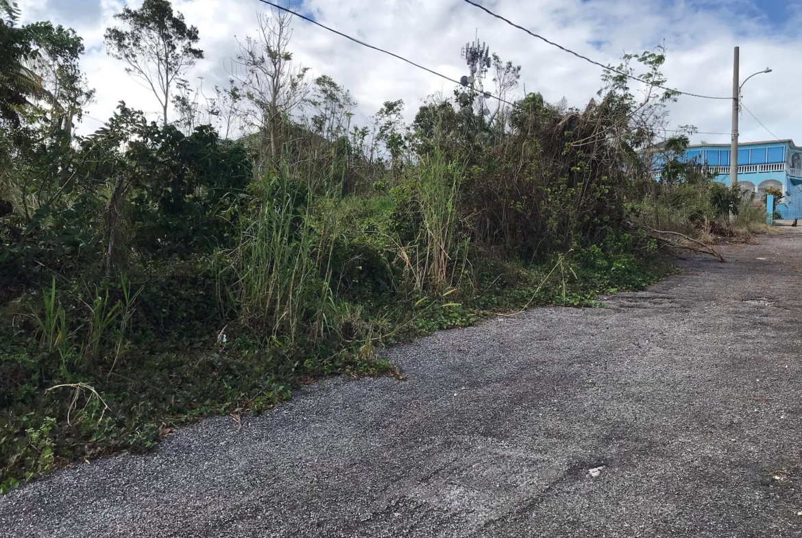 Eighth image of Lot No. 5- Knowles Road in Mandeville, Manchester, Jamaica - property is For Sale