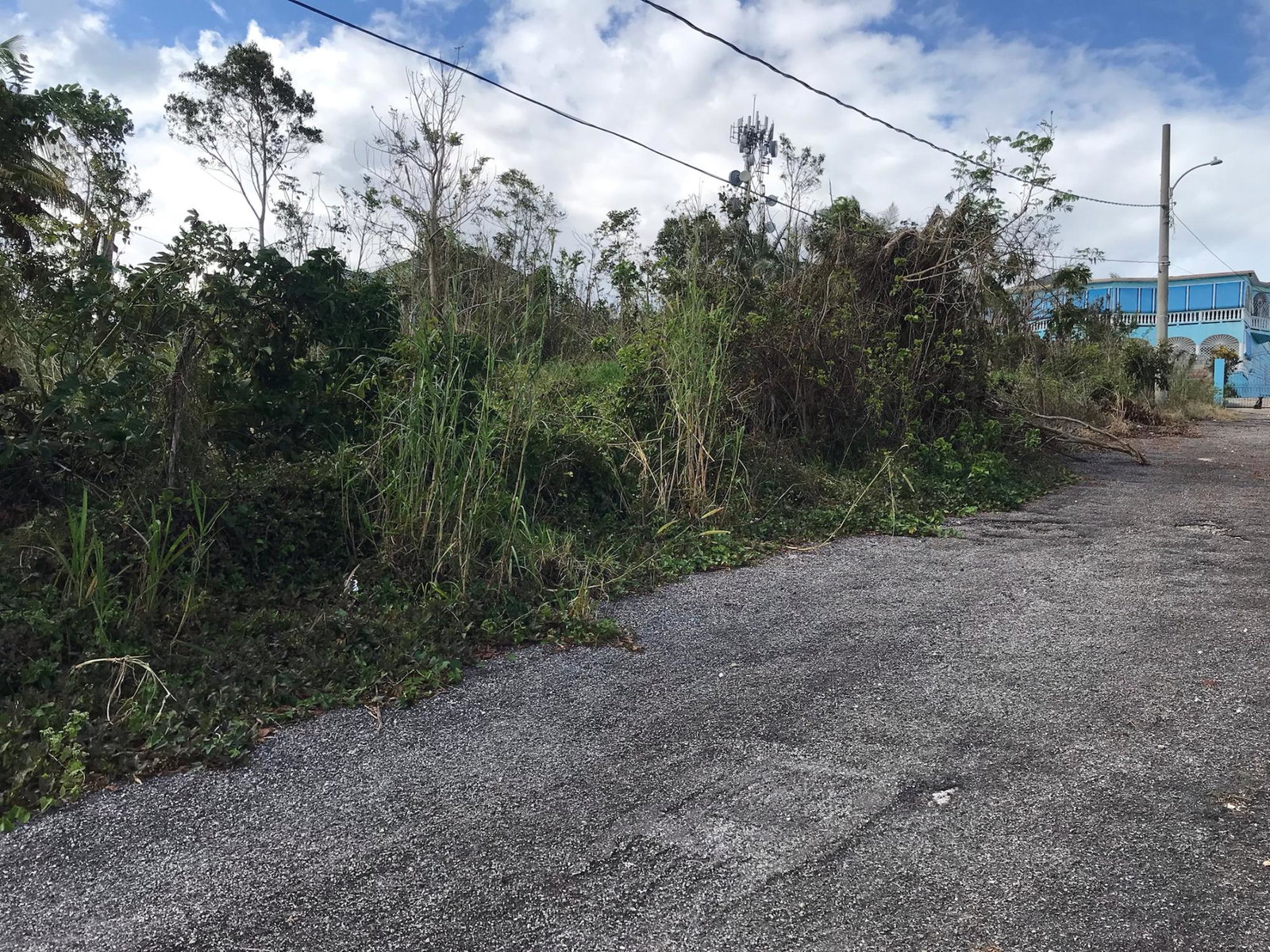 Eighth image of Lot No. 5- Knowles Road in Mandeville, Manchester, Jamaica - property is For Sale
