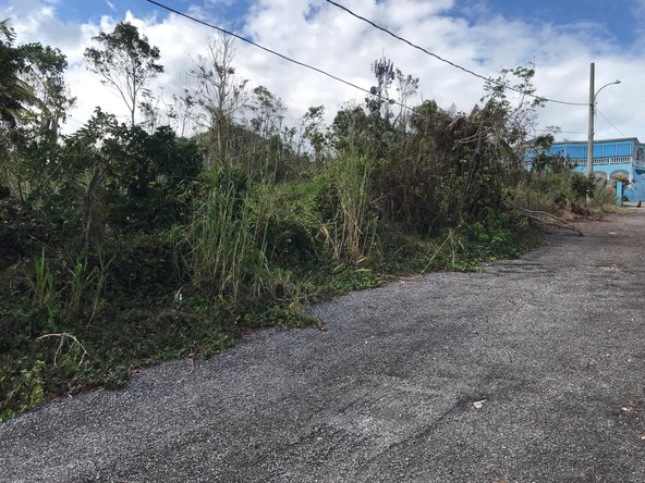 Eighth image of Lot No. 5- Knowles Road in Mandeville, Manchester, Jamaica - property is For Sale