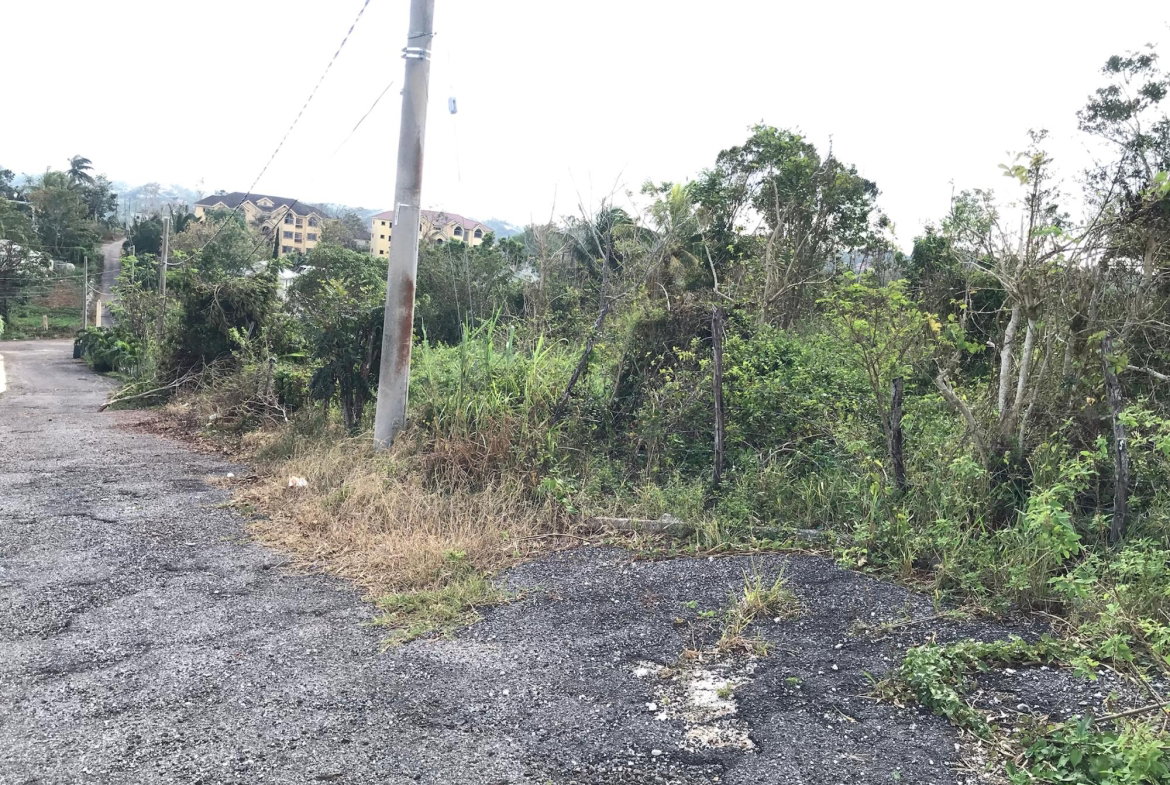 Ninth image of Lot No. 5- Knowles Road in Mandeville, Manchester, Jamaica - property is For Sale