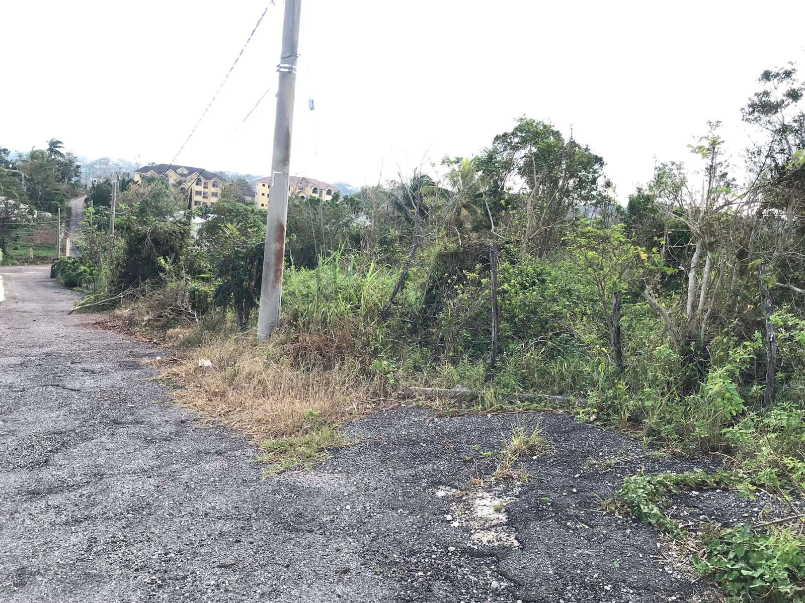 Ninth image of Lot No. 5- Knowles Road in Mandeville, Manchester, Jamaica - property is For Sale