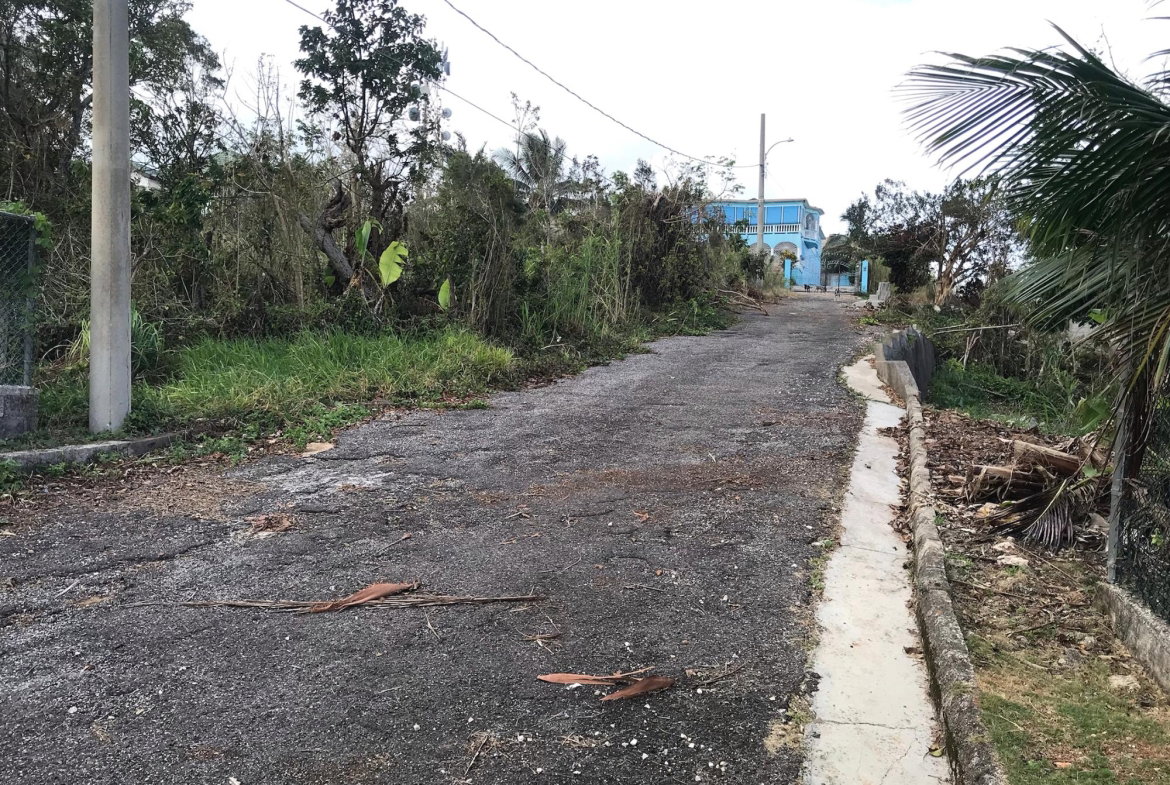 Tenth image of Lot No. 5- Knowles Road in Mandeville, Manchester, Jamaica - property is For Sale
