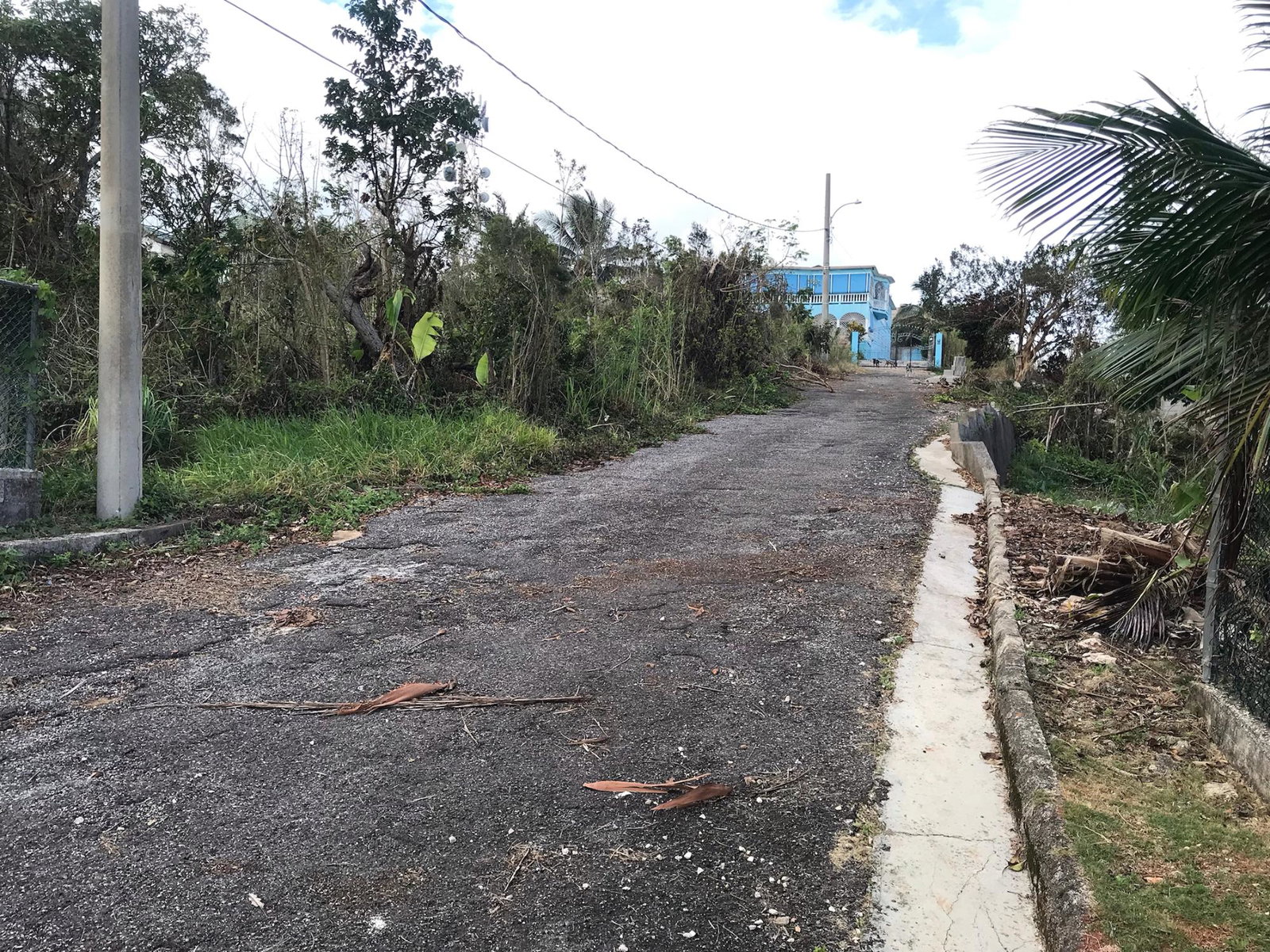Tenth image of Lot No. 5- Knowles Road in Mandeville, Manchester, Jamaica - property is For Sale