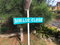 First image of Lot No. 5- Knowles Road in Mandeville, Manchester, Jamaica - property is For Sale