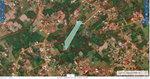 First image of Lot 268 Part of New Forest, Manch in New Forest, Manchester, Jamaica - property is For Sale