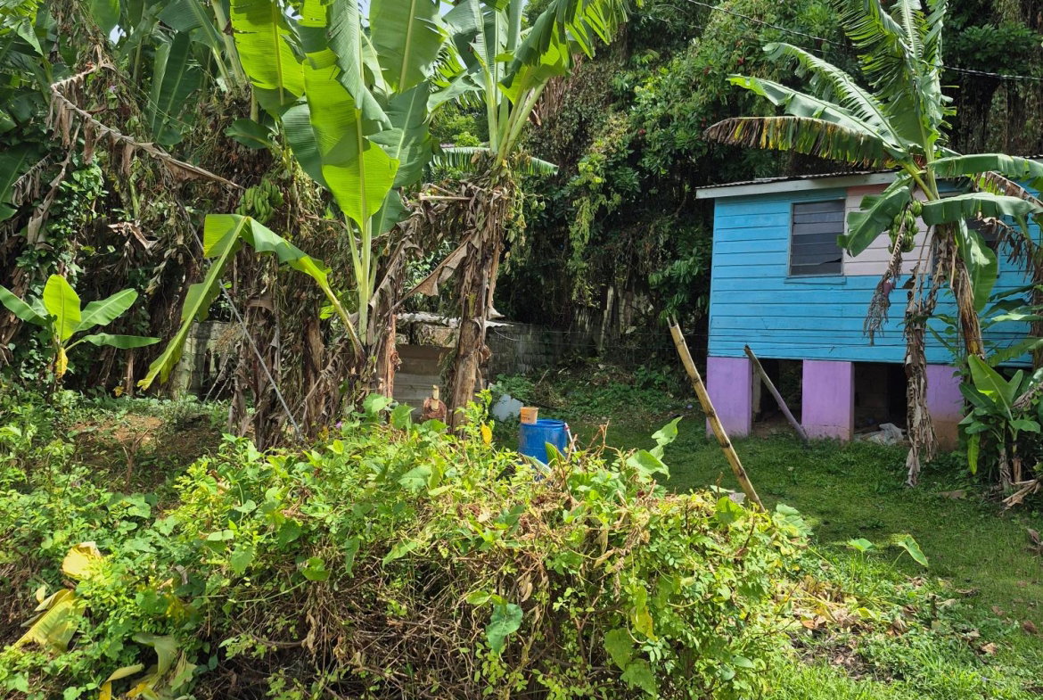 Second image of Lot 3-hopewell Orange Bay P.o. Portland in Orange Bay, Portland, Jamaica - property is For Sale