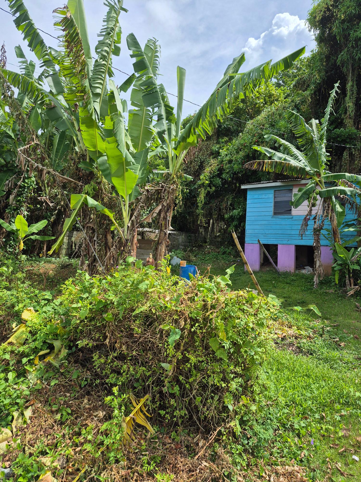 Second image of Lot 3-hopewell Orange Bay P.o. Portland in Orange Bay, Portland, Jamaica - property is For Sale