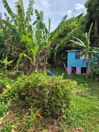 Second image of Lot 3-hopewell Orange Bay P.o. Portland in Orange Bay, Portland, Jamaica - property is For Sale
