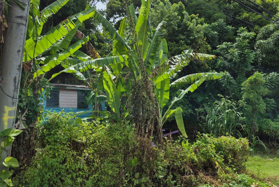 First image of Lot 3-hopewell Orange Bay P.o. Portland in Orange Bay, Portland, Jamaica - property is For Sale
