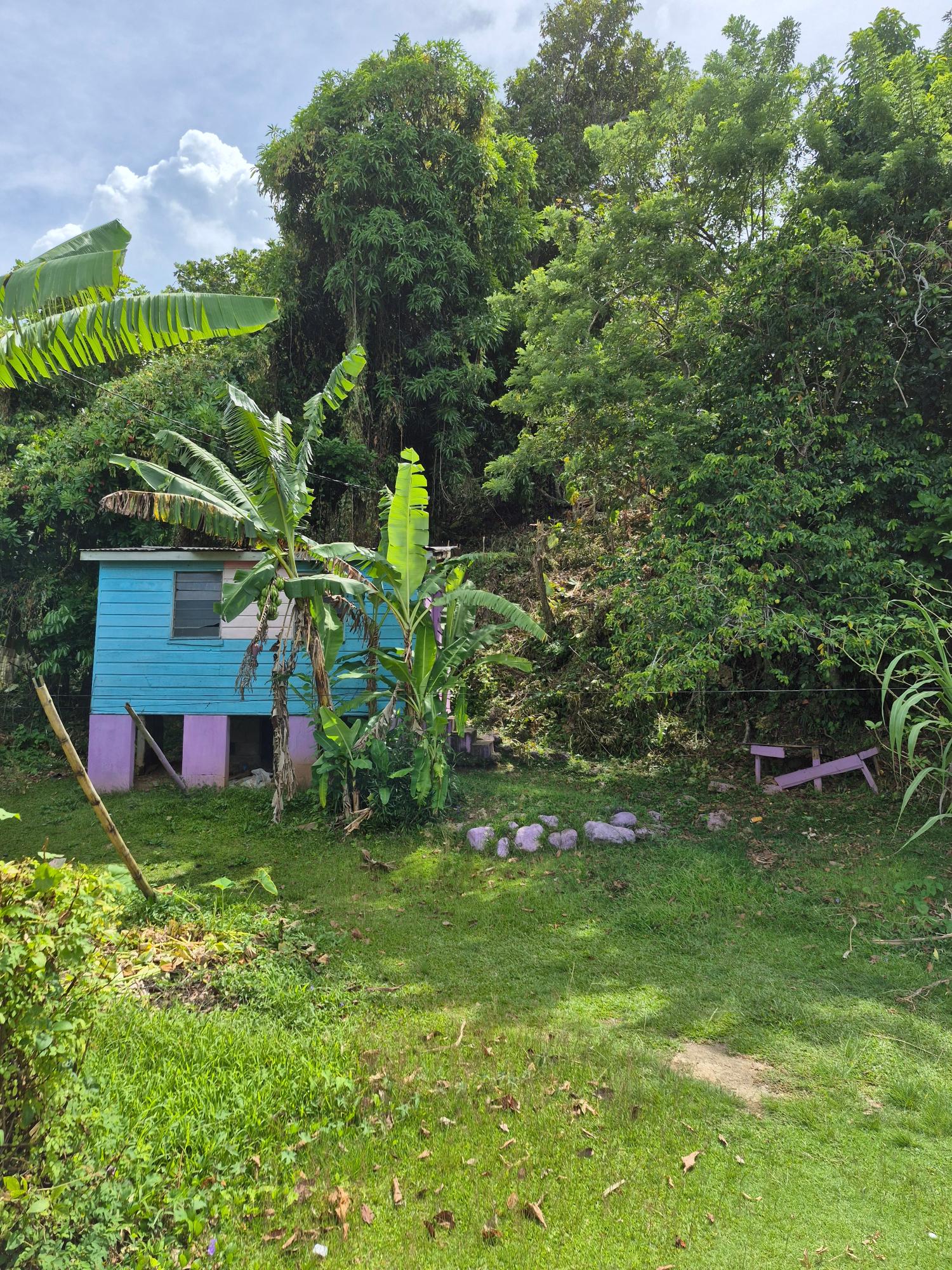 Third image of Lot 3-hopewell Orange Bay P.o. Portland in Orange Bay, Portland, Jamaica - property is For Sale