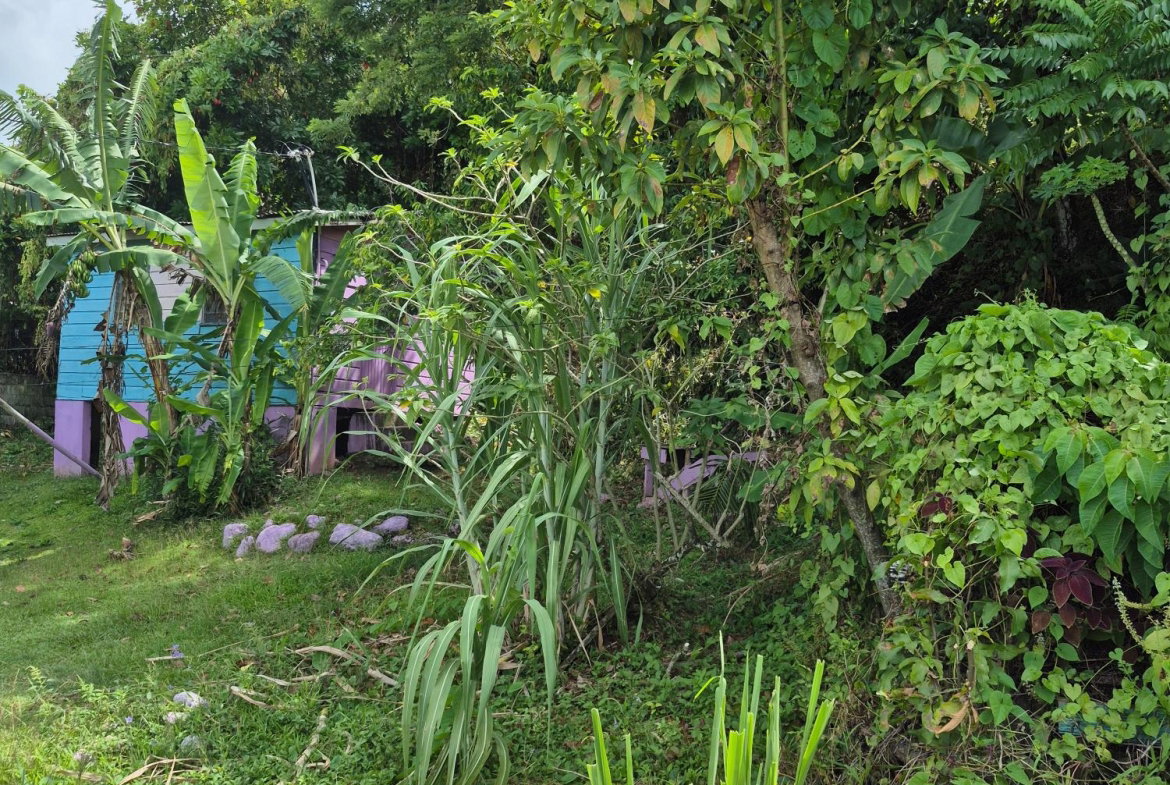 Fourth image of Lot 3-hopewell Orange Bay P.o. Portland in Orange Bay, Portland, Jamaica - property is For Sale