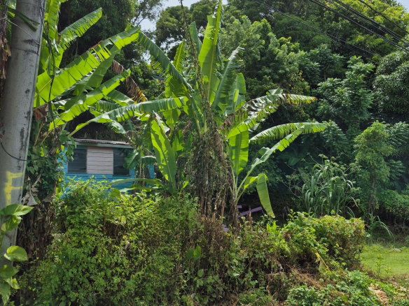 First image of Lot 3-hopewell Orange Bay P.o. Portland in Orange Bay, Portland, Jamaica - property is For Sale