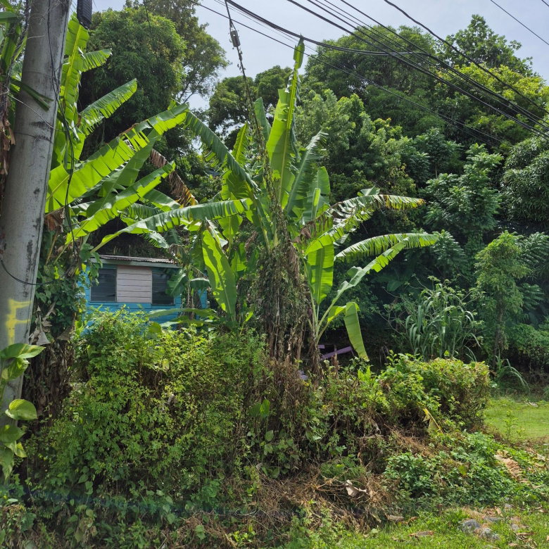 First image of Lot 3-hopewell Orange Bay P.o. Portland in Orange Bay, Portland, Jamaica - property is For Sale