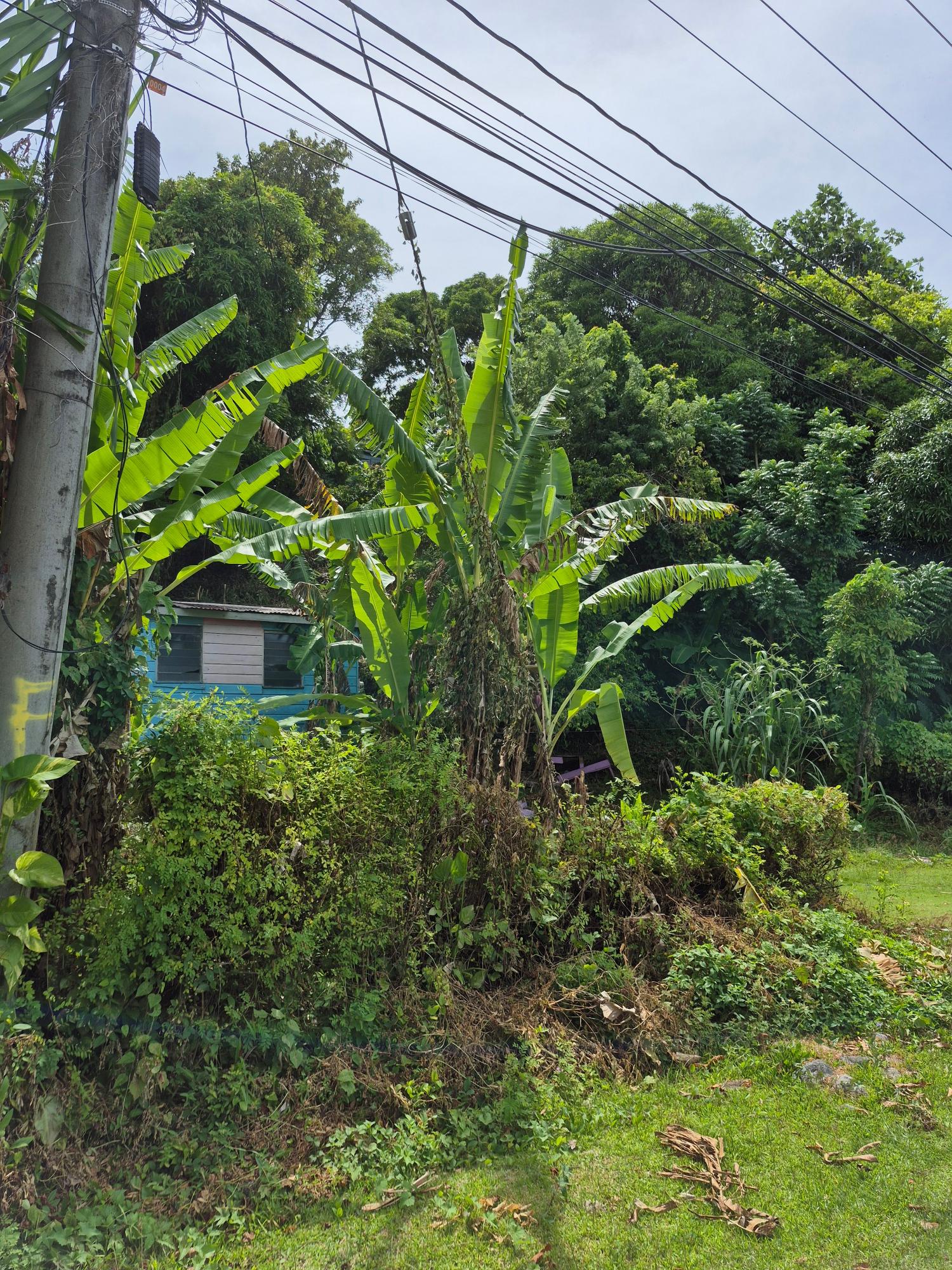 First image of Lot 3-hopewell Orange Bay P.o. Portland in Orange Bay, Portland, Jamaica - property is For Sale