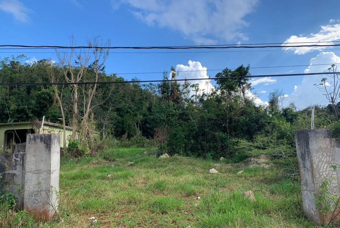 Second image of Lot 14 Red Bank in Hatfield, Manchester, Jamaica - property is For Sale